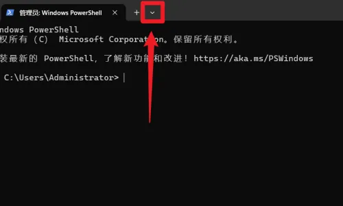使用 Windows Terminal 添加云服务器的 SSH 连接配置